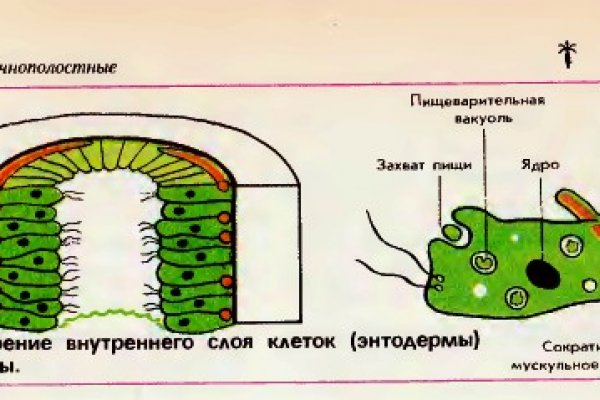 Как зайти на кракен дарк