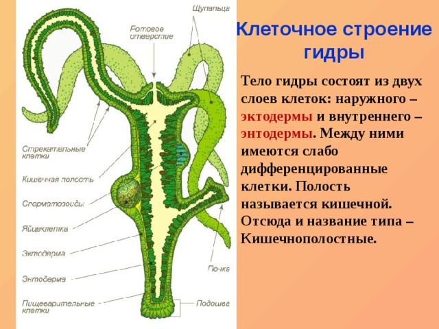 Как открыть кракен