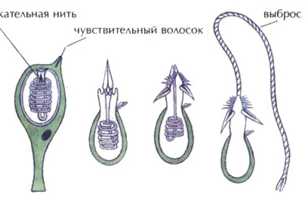 Кракен как зайти на сайт